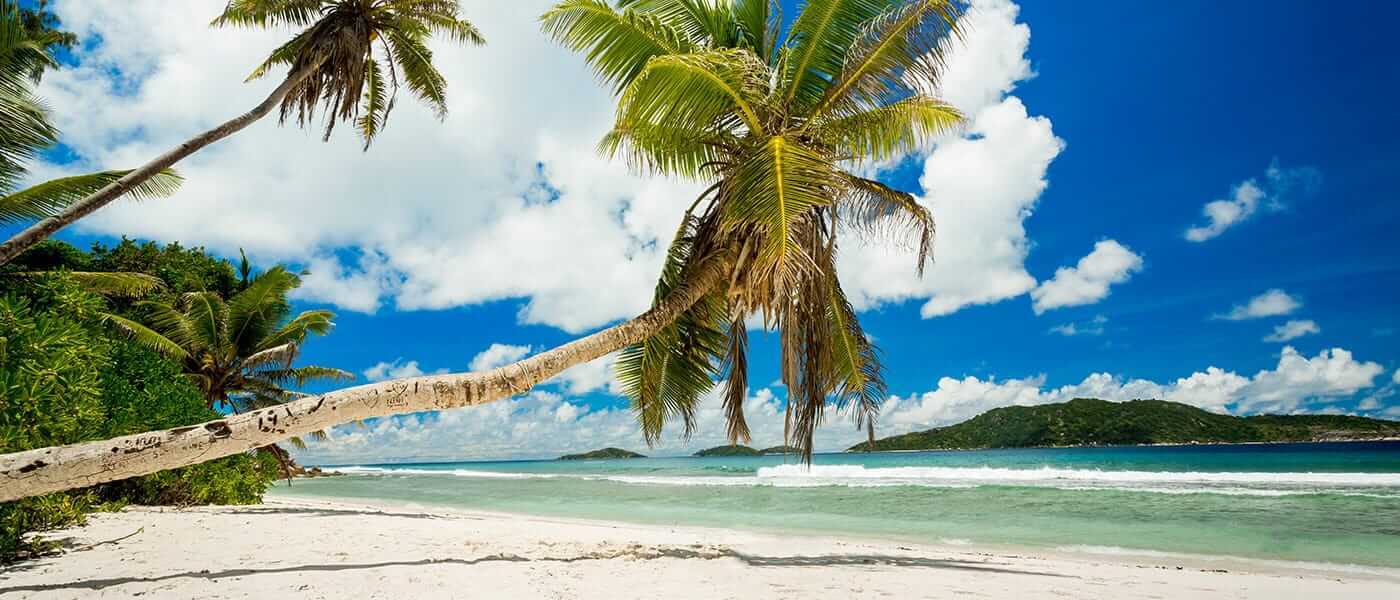 Szczepienia podróżne - co warto wiedzieć przed wyjazdem?