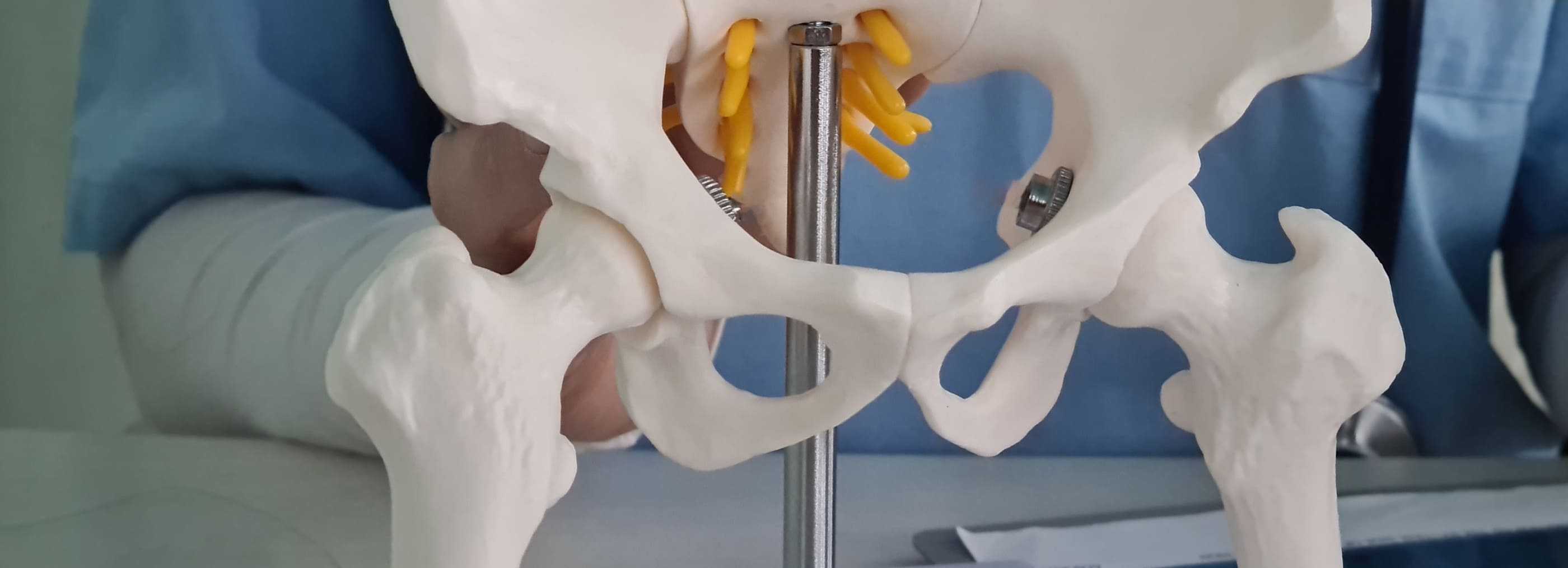 Diagnostyka i kwalifikacja do endoprotezy Warszawa i Płock | OpenMed Centrum Medyczne