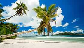 Szczepienia podróżne – jakie wybrać przed urlopem i dlaczego?