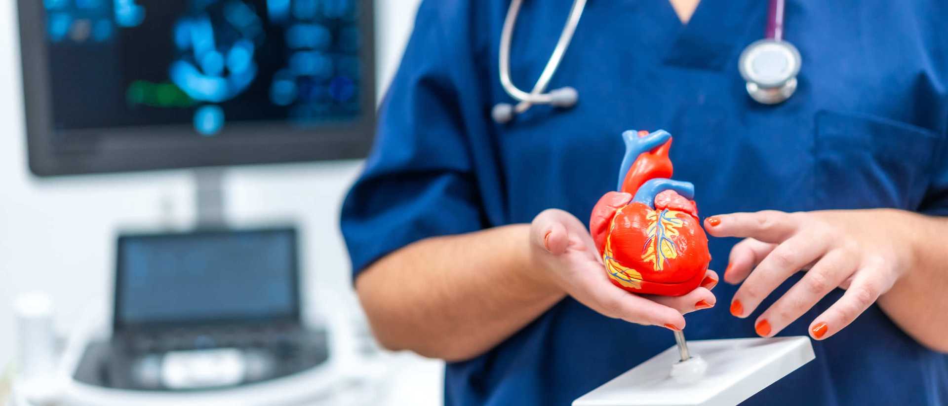 Zwężenie i niedomykalność zastawek serca – objawy, diagnostyka i leczenie. Wady zastawkowe serca i co warto o nich wiedzieć | OpenMed