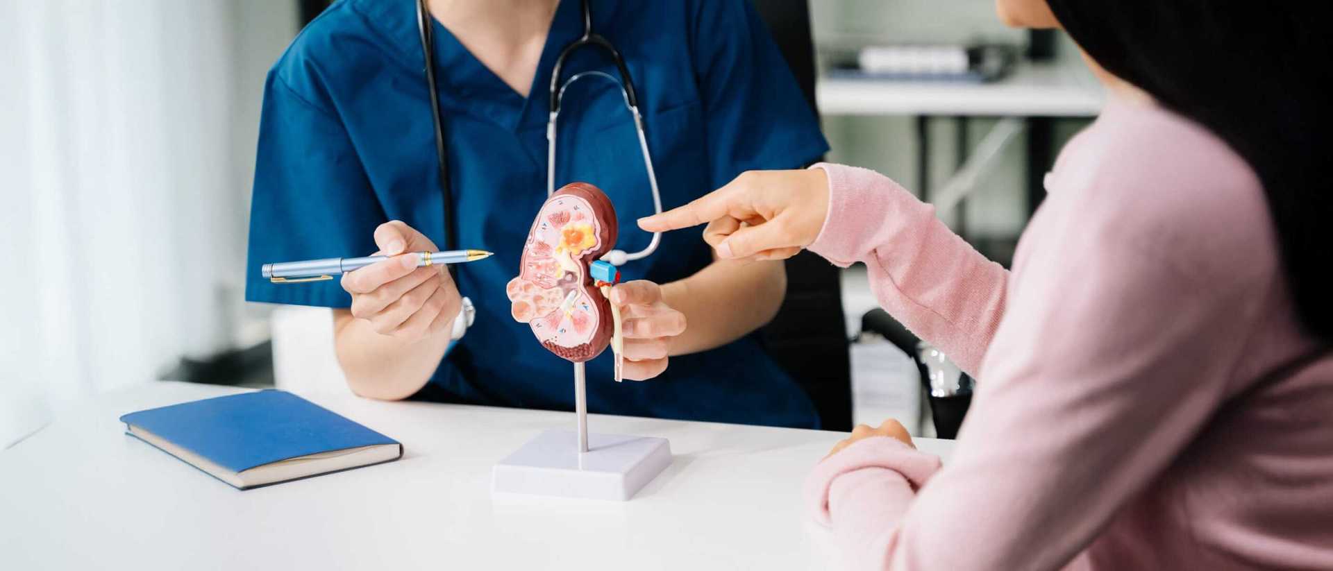 Kiedy i dlaczego warto zadbać o nerki? Jakie badania na nerki warto wykonać?