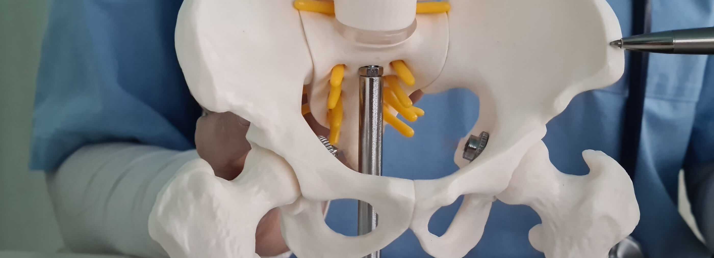 Endoprotezoplastyka stawu biodrowego i kolanowego - Warszawa i Płock | OpenMed Centrum Medyczne