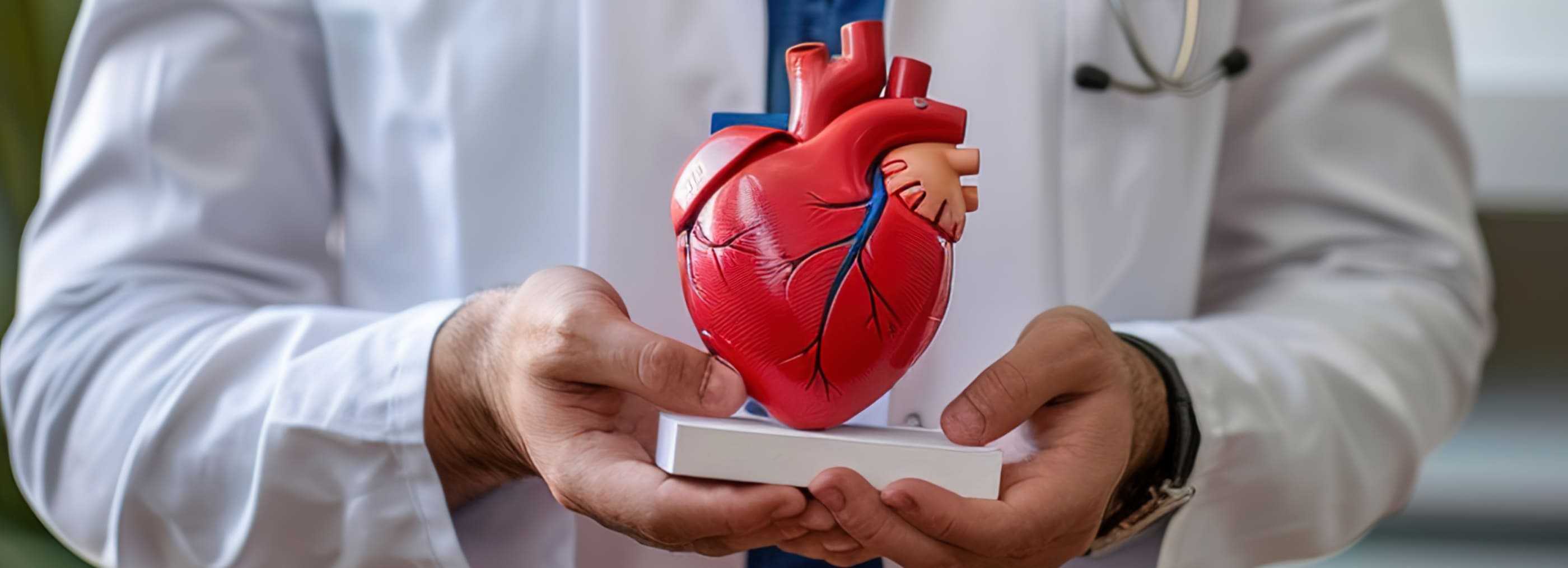 Kardiologia sportowa Warszawa i Płock | OpenMed Centrum Medyczne